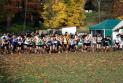 LA BACHASSE 091108 (94)